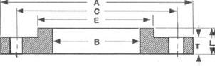 ANSI B16.1 Industry Standard